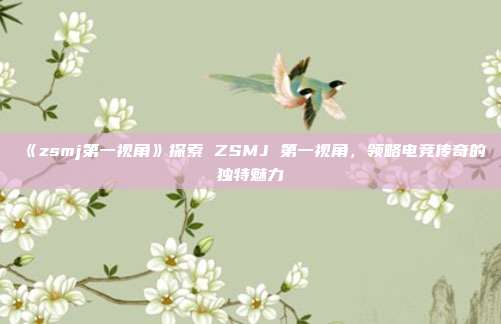 《zsmj第一视角》探索 ZSMJ 第一视角，领略电竞传奇的独特魅力